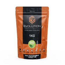 Airsoft BB's Evolution High Performance 0.20 gram, 5000 stuks