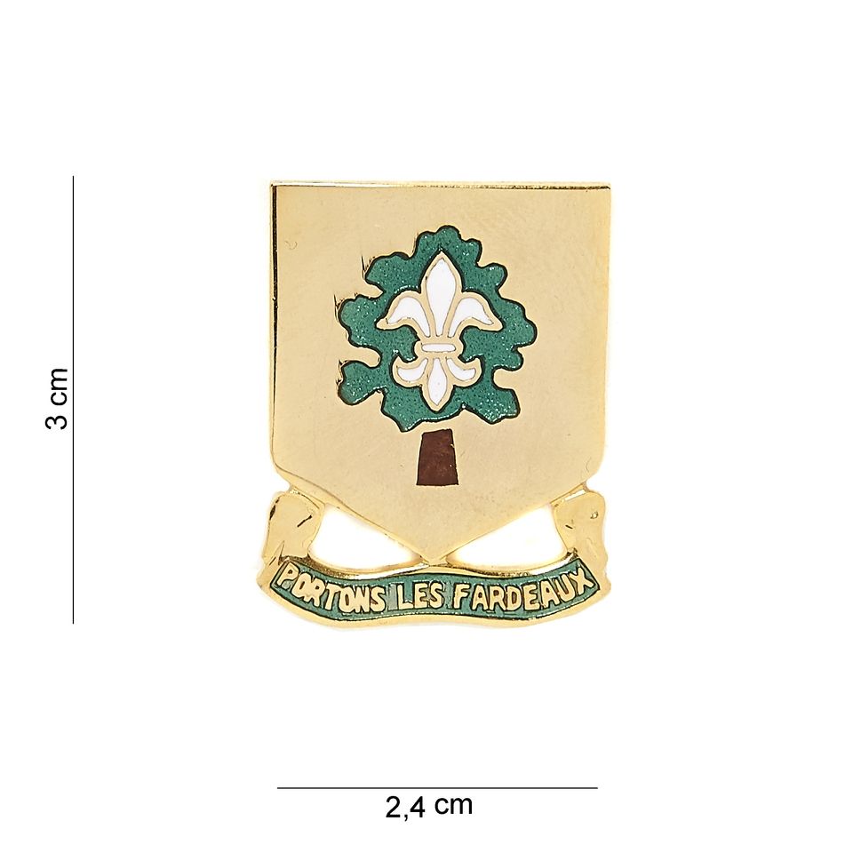 Embleem metaal 101st Support Battalion Portons Les Far #8012 
