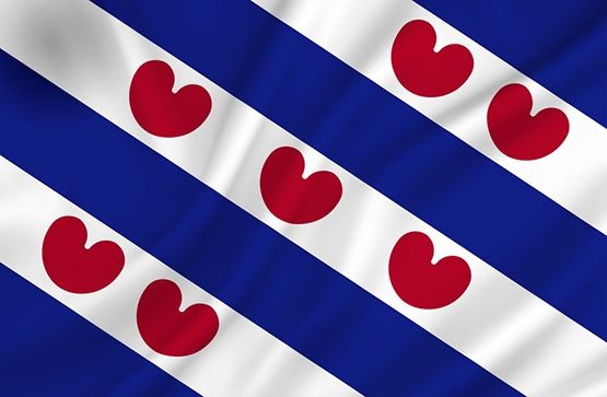 Vlag Friesland