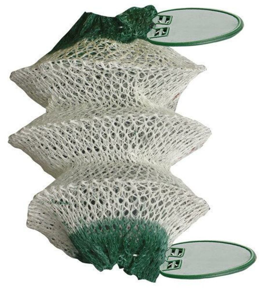 Kousje Coleman Northstar