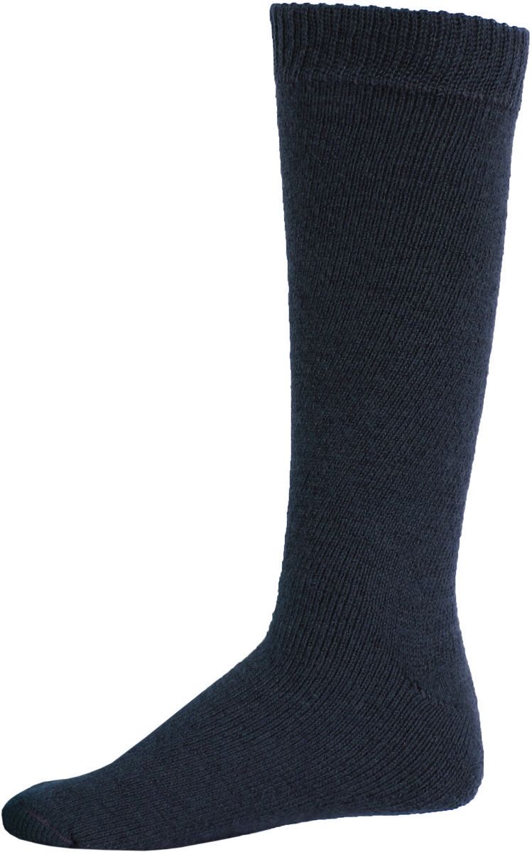 Thermosok Mountain blauw