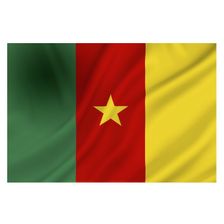 Vlag Kameroen 