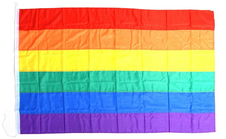 Regenboogvlag groot
