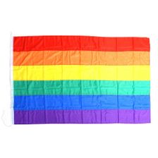 Regenboogvlag groot
